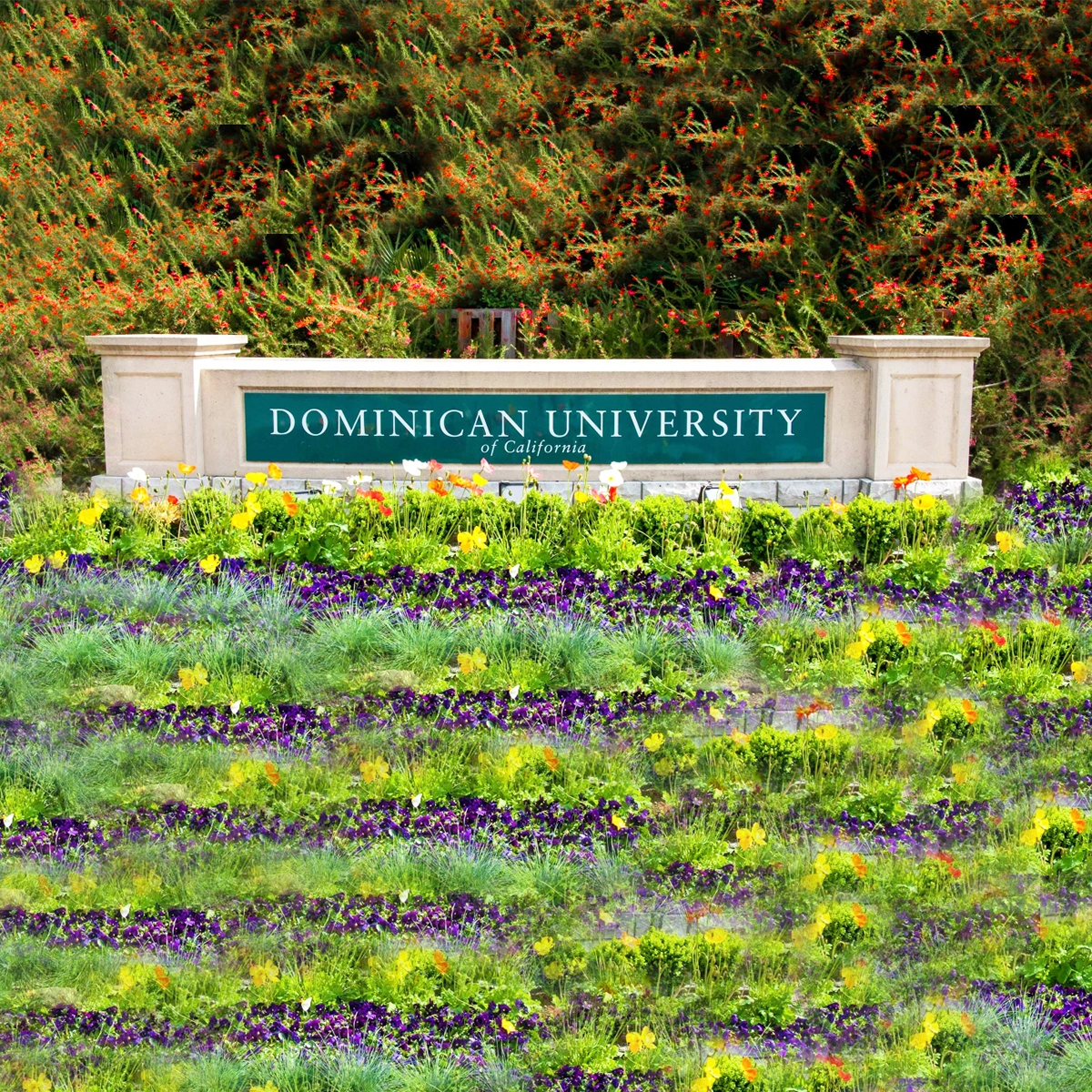 Dominican University of California entrance sign